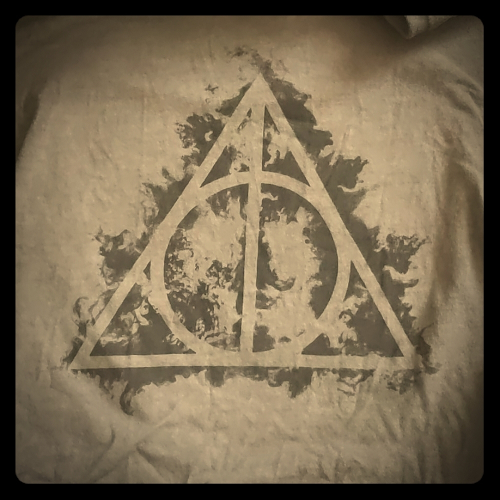 Harry potter crop top